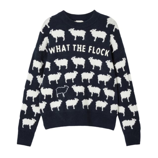 Joules Women's What The Flock Jumper - Navy Product Image